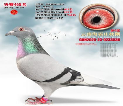 ����ׯ����465��