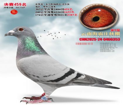 ����ׯ����459��