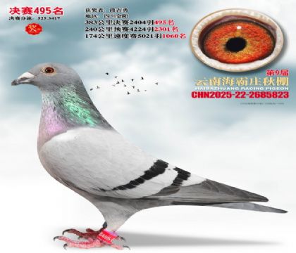 ����ׯ����495��