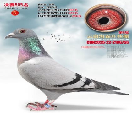 ����ׯ����505��