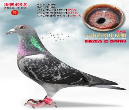 ����ׯ����499��