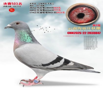 ����ׯ����503��