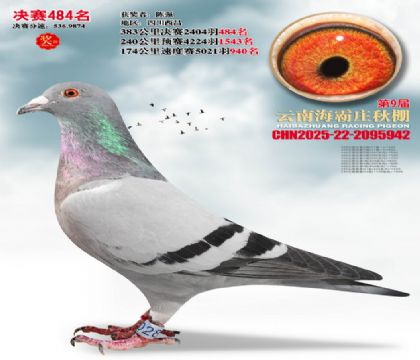 ����ׯ����484��