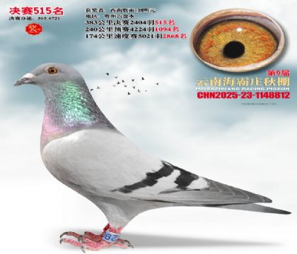 ����ׯ����515��