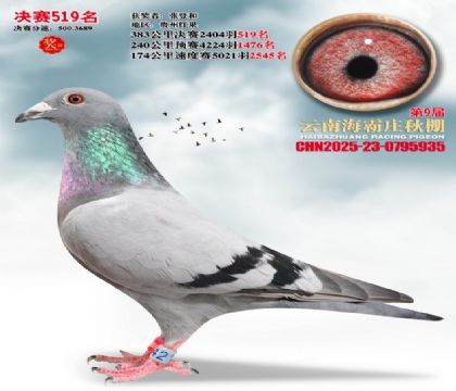 ����ׯ����519��