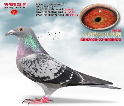 ����ׯ����528��