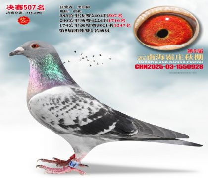 ����ׯ����507��