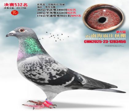 ����ׯ����532��