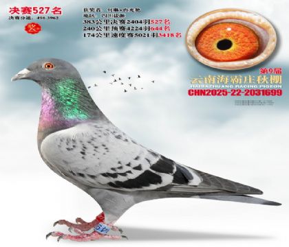 ����ׯ����527��