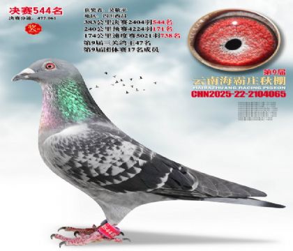 ����ׯ����544��