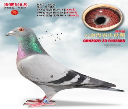 ����ׯ����546��