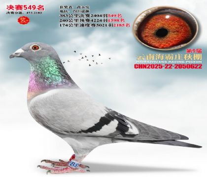 ����ׯ����549��