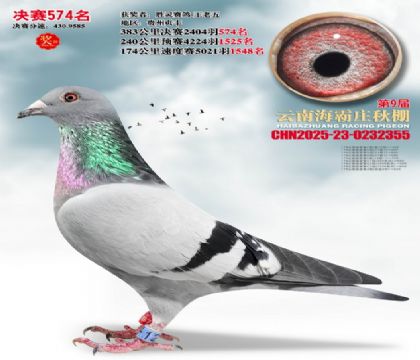 ����ׯ����574��