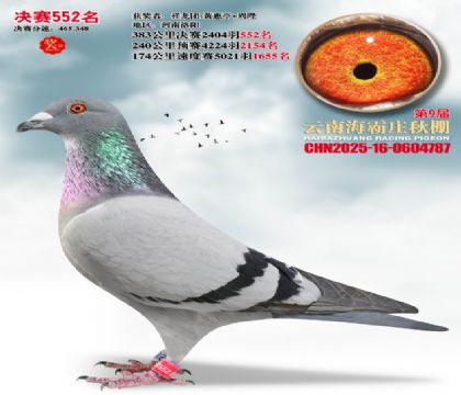 ����ׯ����552��