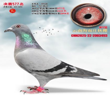 ����ׯ����577��