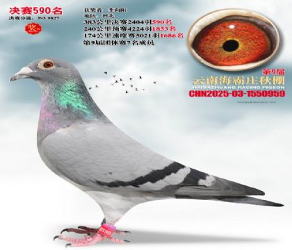 ����ׯ����590��