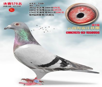 ����ׯ����579��