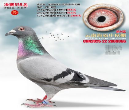 ����ׯ����555��