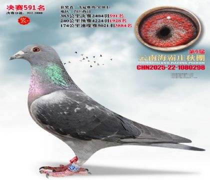 ����ׯ����591��