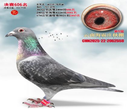 ����ׯ����606��