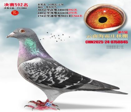 ����ׯ����592��