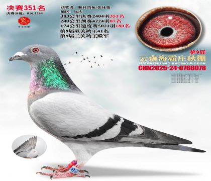 ����ׯ����351��