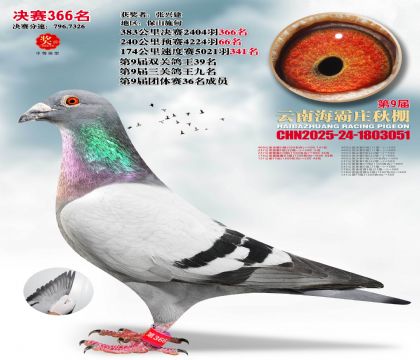 ����ׯ����366��