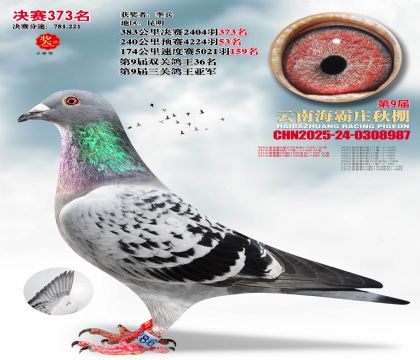 ����ׯ����373��