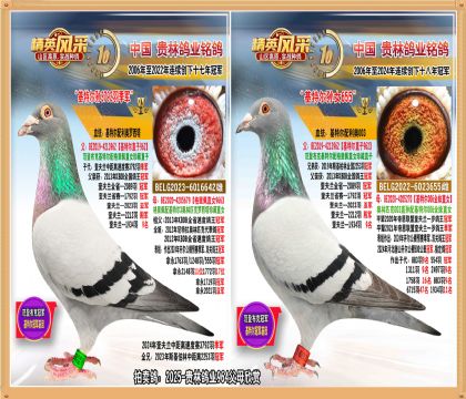 ���ض�ֱ������ض���Ů����. 3792�𼾾�ֱ��