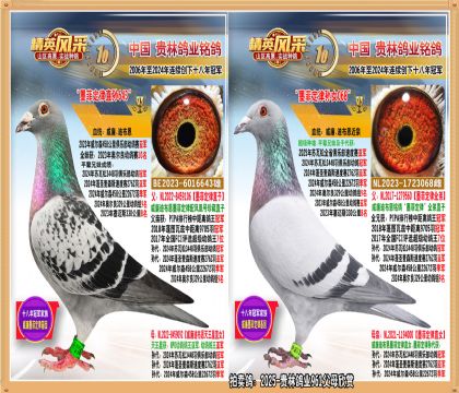 ī�ƶ�������ī�ƶ�����Ů����. 458���＾��ֱŮ