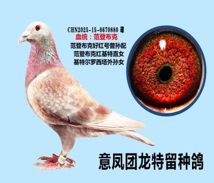 ���ǲ��� �ú��