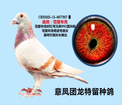 ���ǲ��� �ú��