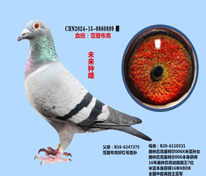 ���ǲ��˺ú��X���ض�006