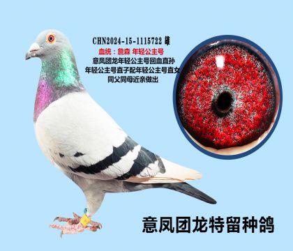 ���ṫ���Ż�Ѫֱ��