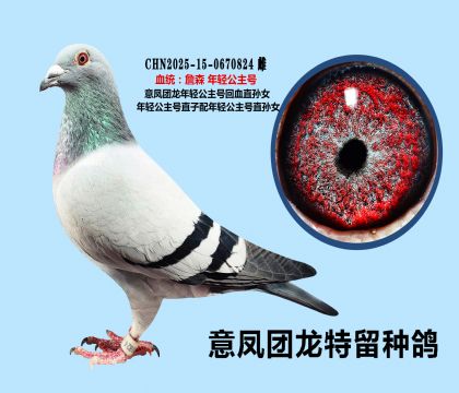 ���ṫ���Ż�Ѫֱ��Ů