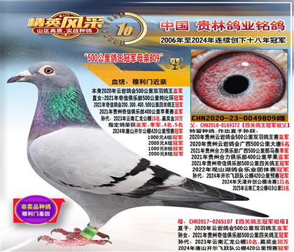 ĸ��500����ھ�ĸ��