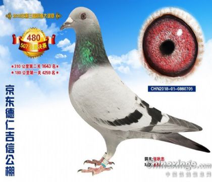 �������ʼ��Ź���500�������480��   ��	