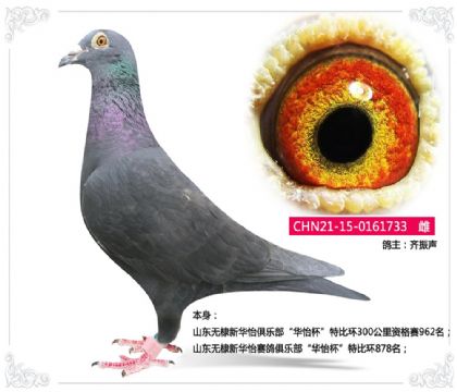 ɽ������»���������ֲ������������رȻ�878��   ��	