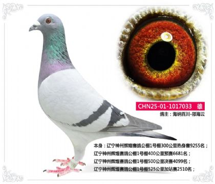 �������ݻԻ����빫��1����525�����վ��2510��   ��