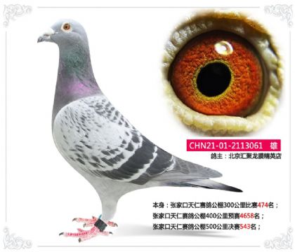 �żҿ��������빫��500�������543��  ��	