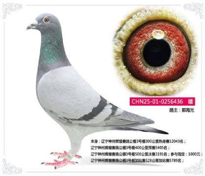 �������ݻԻ����빫��3����500�������3191��  ��	