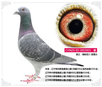 �������ݻԻ����빫��1����525�����վ��1838��  ��