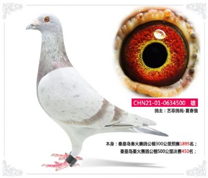 �ػʵ��ػ����빫��500�������450��   ��	