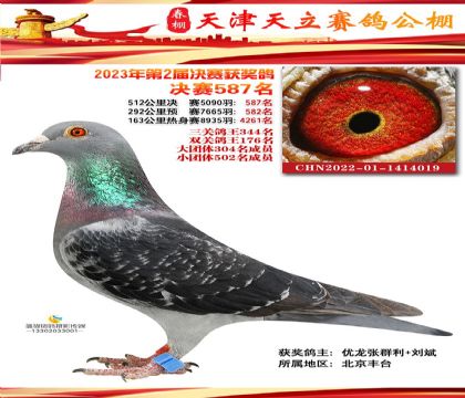 ����������빫����512�������587��  ��	