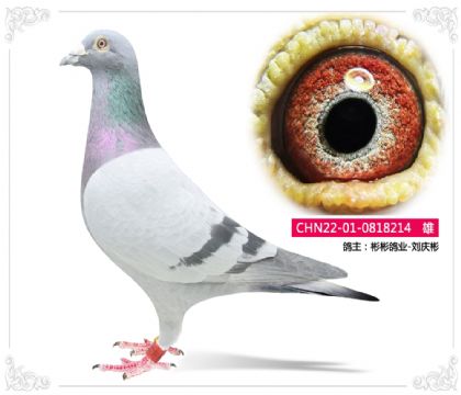 ����ҵ-�����214   ��