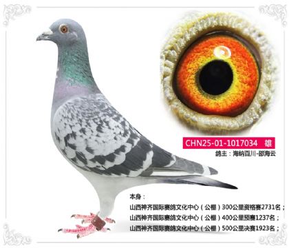 ɽ��������������Ļ����ģ����500�������1923��