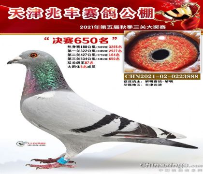 ����׷����빫��˫�ظ���87��   ��