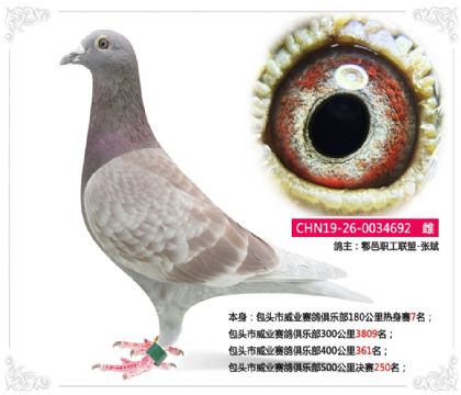 ��ͷ����ҵ������ֲ�500�������250��   ��