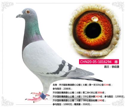 ��Ӧ��-�������ʹ�����580�����վ��1340��  ��