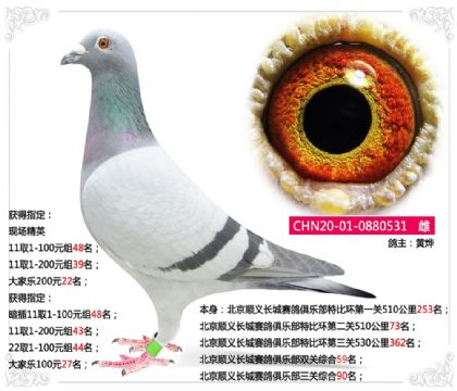 ����˳�峤��������ֲ������ۺ�90��   ��	